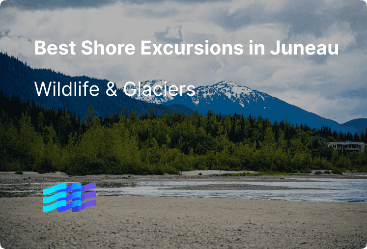 Best Shore Excursions in Juneau for Wildlife & Glaciers