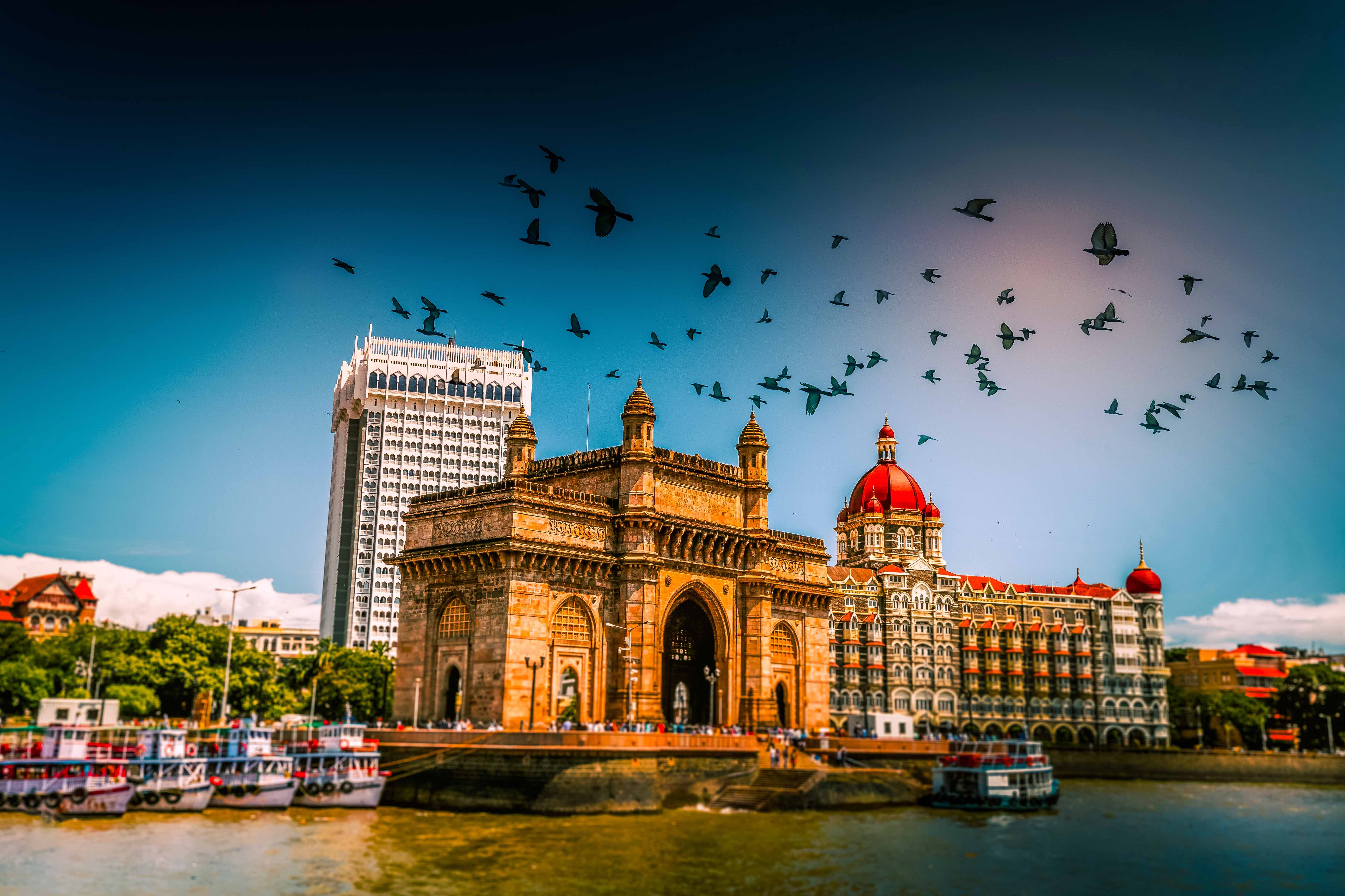 Book cruises to India Online And Save