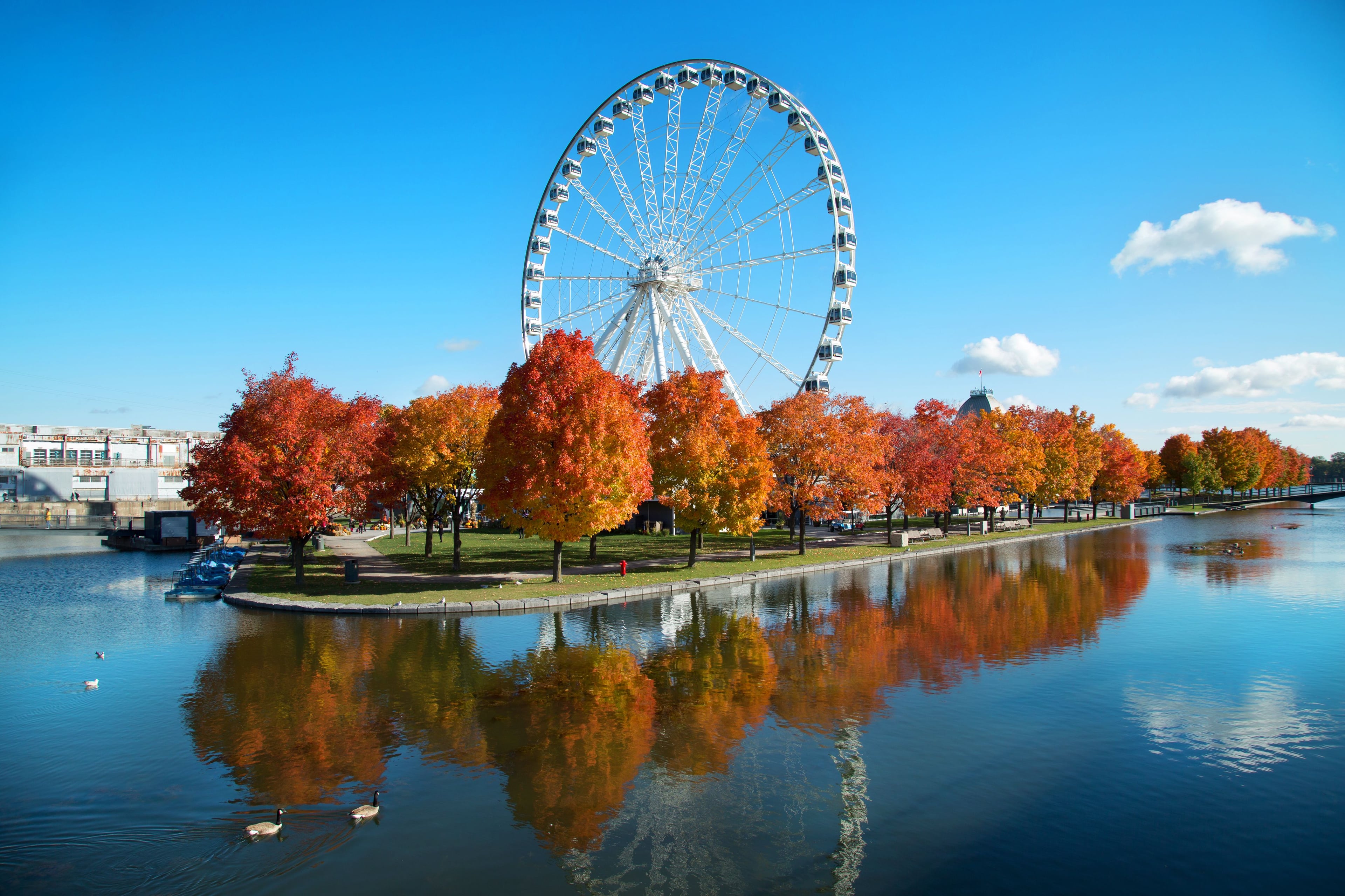 Book Cruises From Montreal Quebec Online And Save