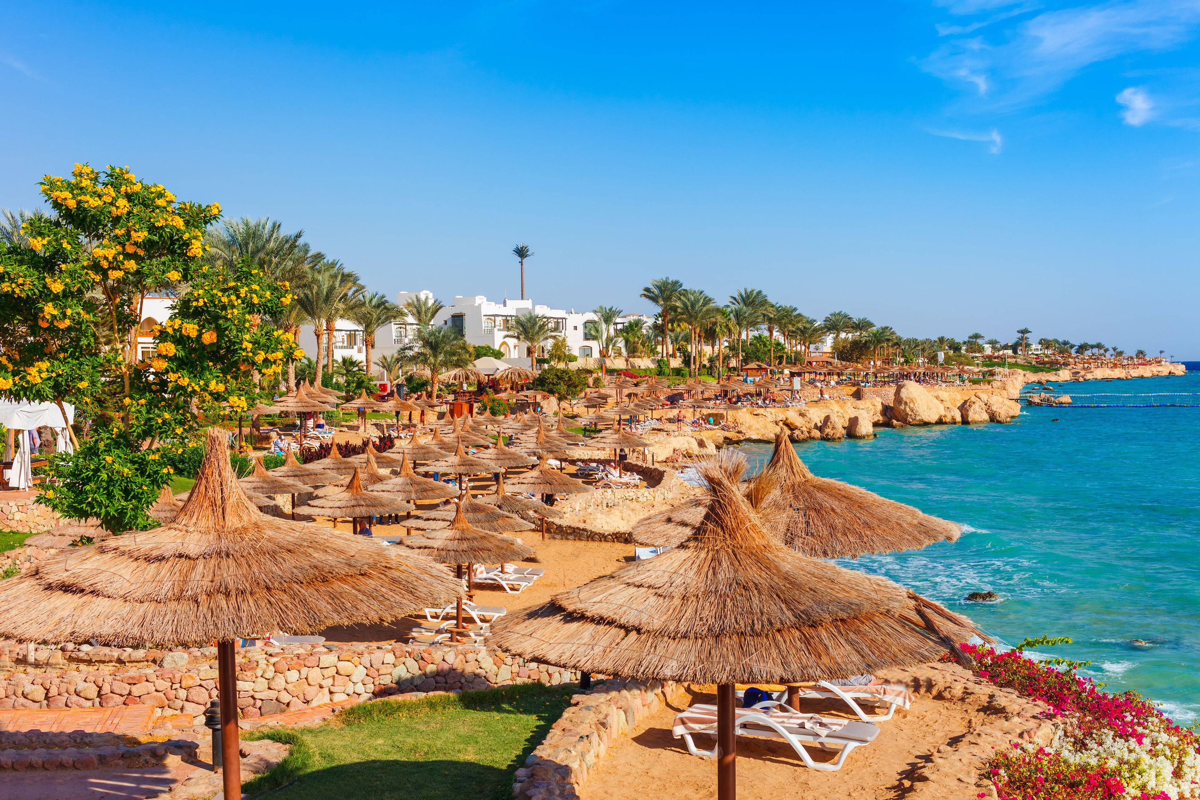 Book Cruises From Sharm El Sheikh Egypt Online And Save