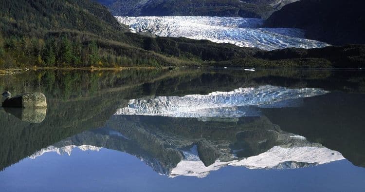 Avistamiento de ballenas y safari fotográfico por el glaciar Mendenhall