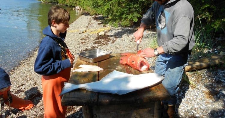 Pesca en Alaska y restaurantes en la naturaleza