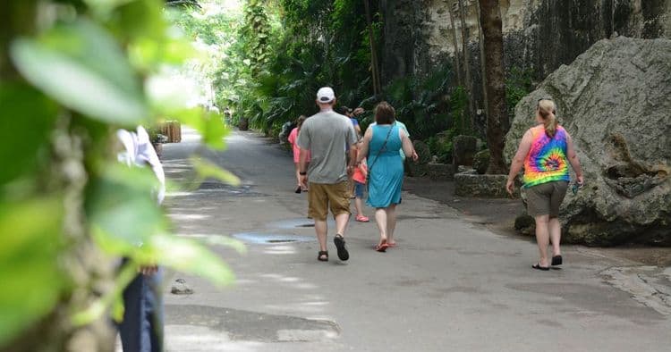 Excursión a la isla de Nassau accesible en silla de ruedas