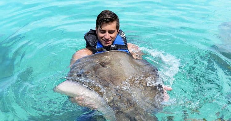 Delfines, rayas, leones marinos y playa de la laguna azul