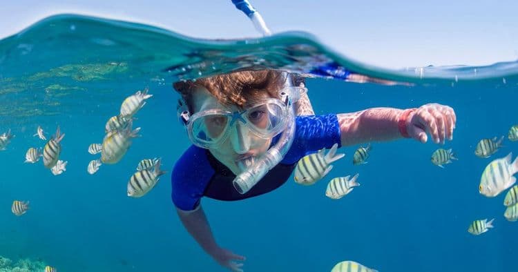 Snorkel en Princess Cruises Cays