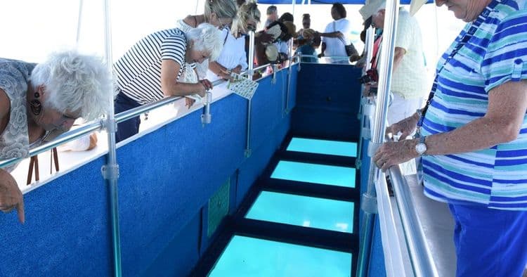 Crucero en barco con fondo de cristal