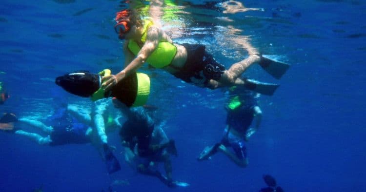 Aventura de Snorkel Power