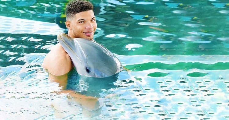 Aventura con delfines, tiburones y leones marinos