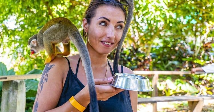 Recorrido por la ciudad de Monkeyland y Puerto Plata