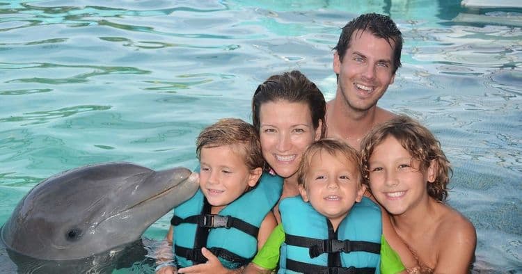 Aventura VIP de natación con delfines en Ocean World