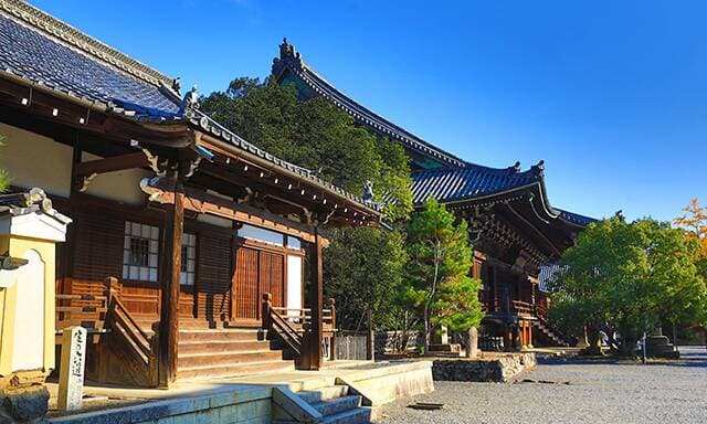 Lo más destacado de Aomori