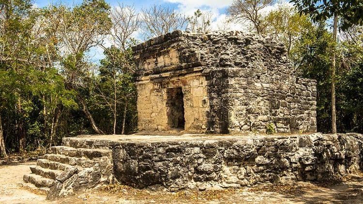 Legado de los Mayas: Ruinas y Degustación de Chocolate