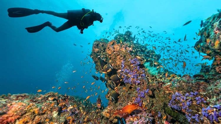 Scuba Certified Scuba Dive the Wreck RMS Rhone