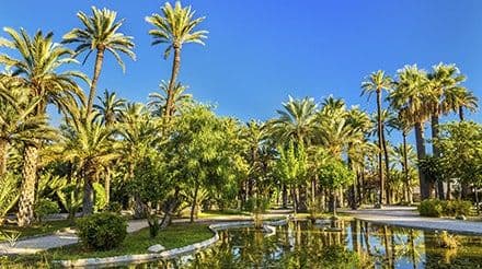 Elche & Huerto Del Cura