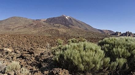 El Teide y el Puerto de la Cruz