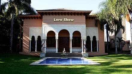 Una visita al Loro Parque