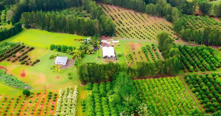 Exclusivo de la granja a vidrio de Hilo — Grupos pequeños
