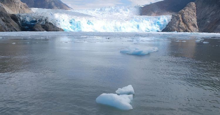 Tracy Arm Fjord & Glacier Explorer