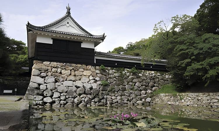 Sakawa Walking Tour with Japanese-Style Lunch