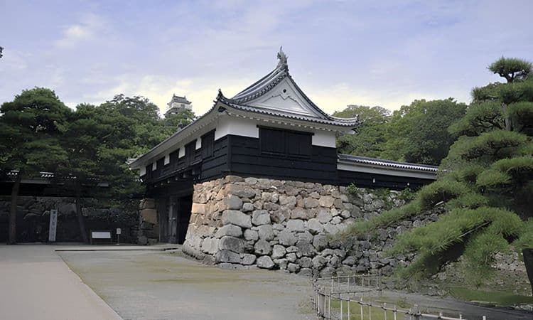 Kochi City and Sake Brewery