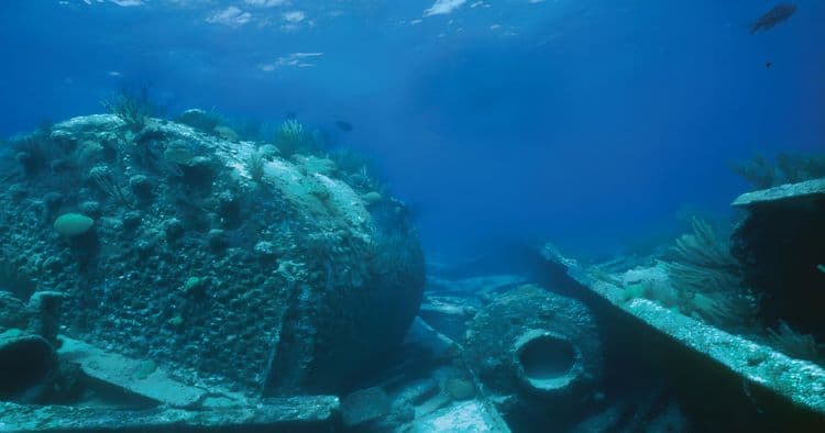 Bermuda Triangle Evening Cruise