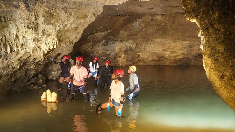 La aventura ecológica de la cueva de Harrison