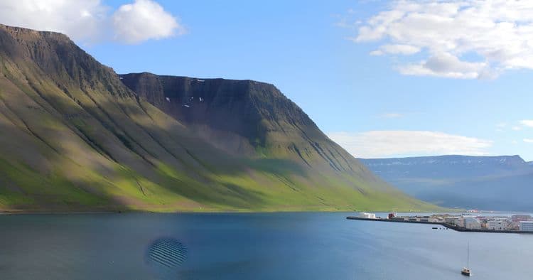 Calm Fjord Kayaking