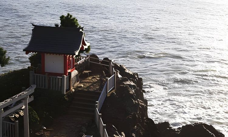 Highlights of Kochi with Japanese-style Lunch