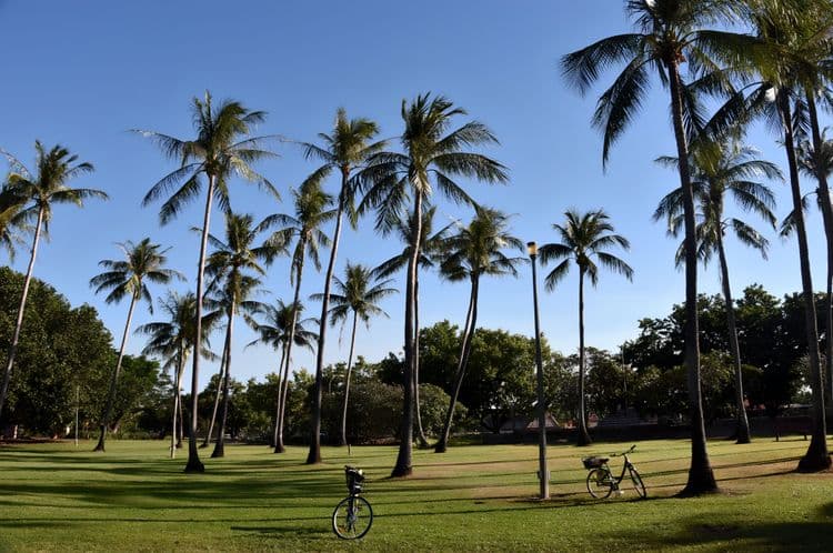 Explorador de la ciudad de Darwin