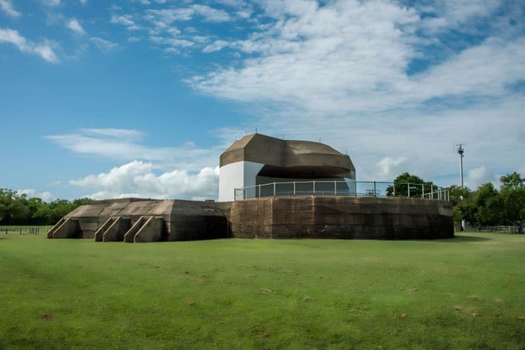 Defensa de Darwin