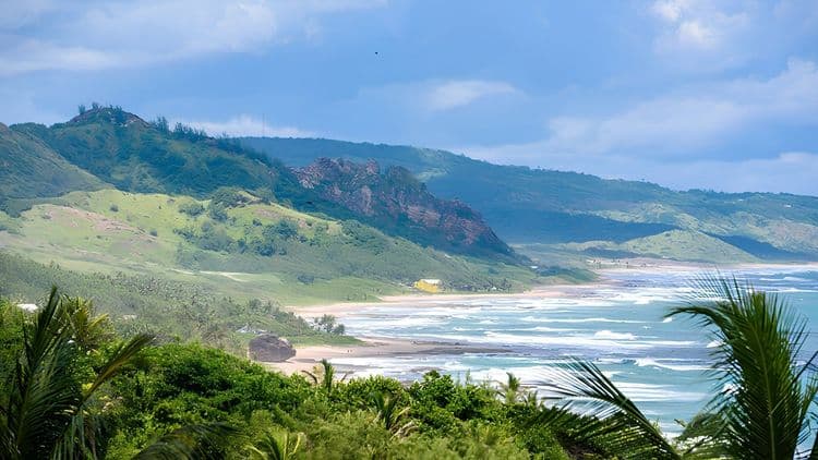 Tour de Costa a Isla Costa
