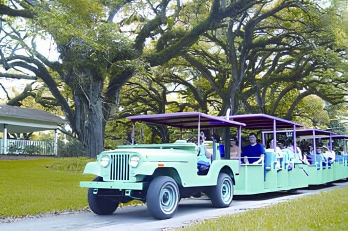 Recorrido de Debark: Paseo en aerobote de los Everglades y jardines Flamingo con traslado al aeropuerto de Miami