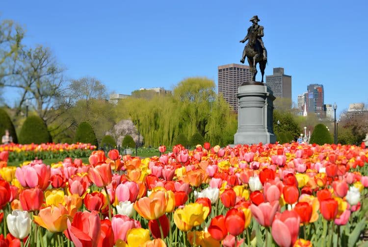 Freedom Trail Walking Tour