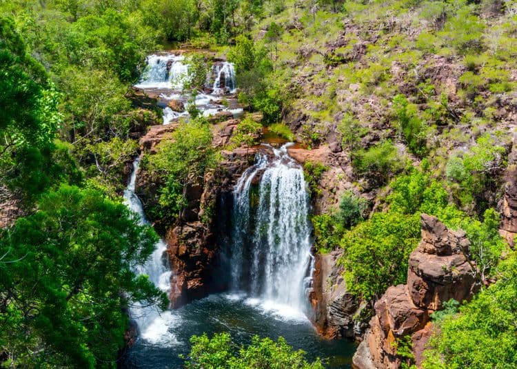 Parque Nacional Litchfield: Termitas y Cataratas