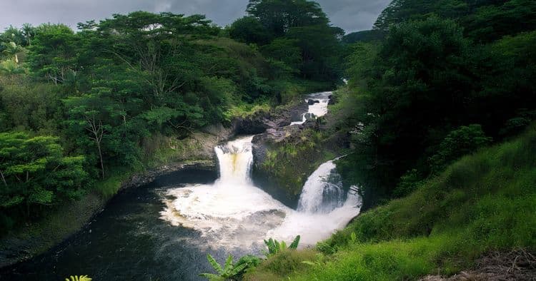 Recorrido por la granja tropical y las cataratas del arco iris