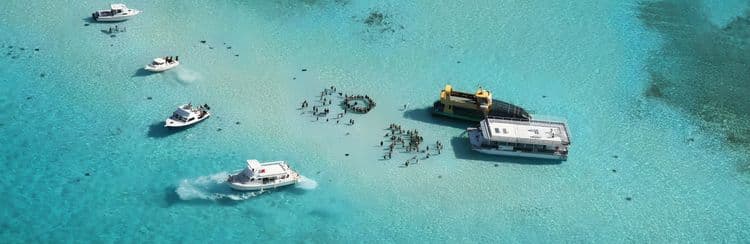 Allura Catamaran Sail To Stingray Sandbar