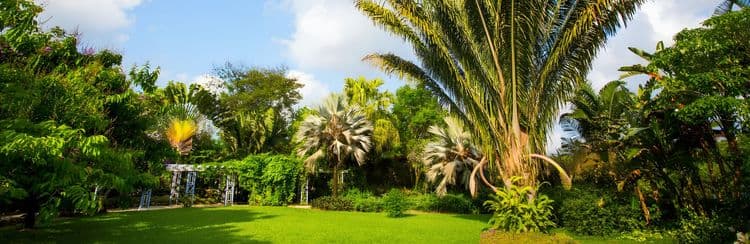 Cayman Islands Heritage Discovery