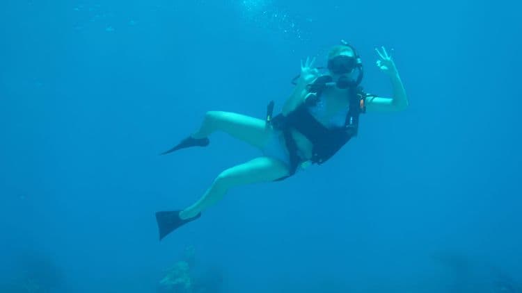 Scuba 101