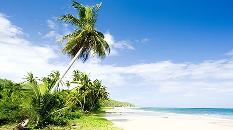 Rum & Beach