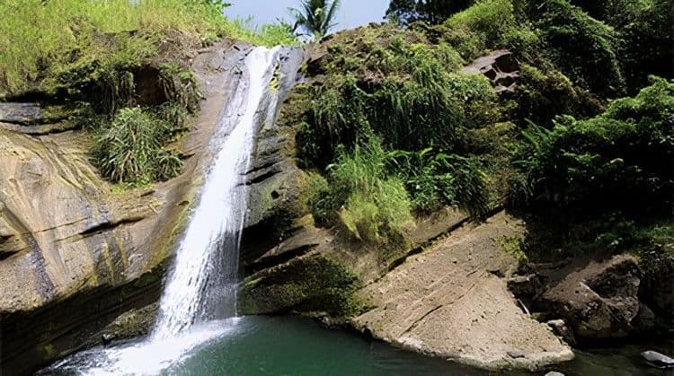 Nutmeg & Falls