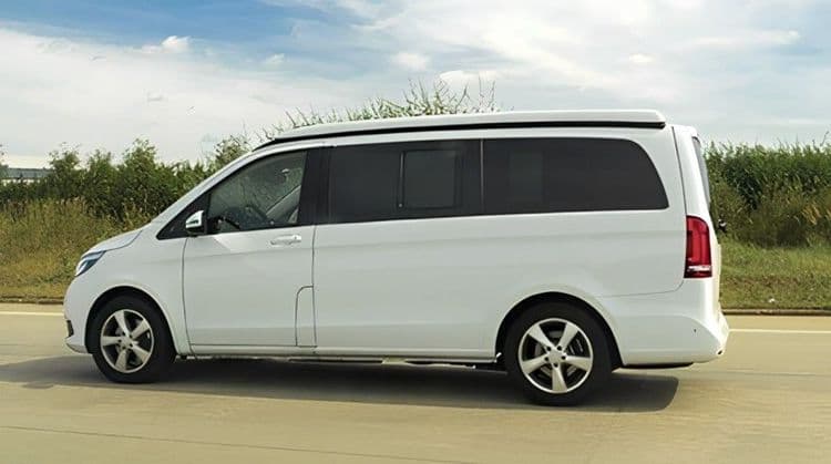 Minivan With Guide (From 6 to 10 People)