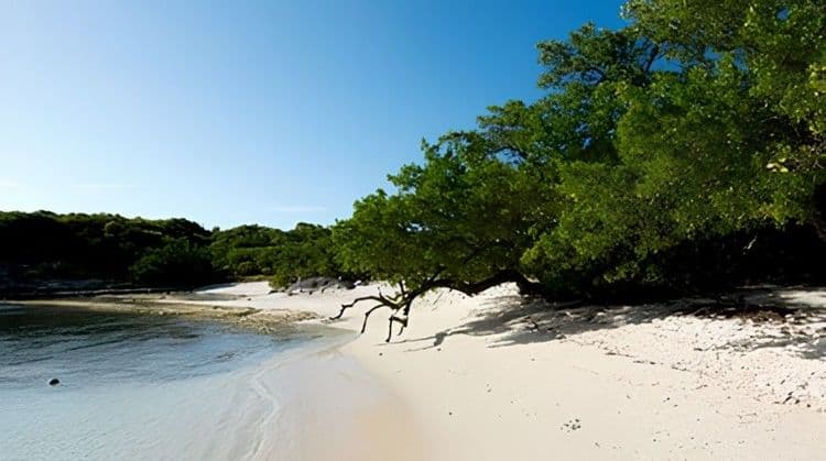 Beach-hopping Safari