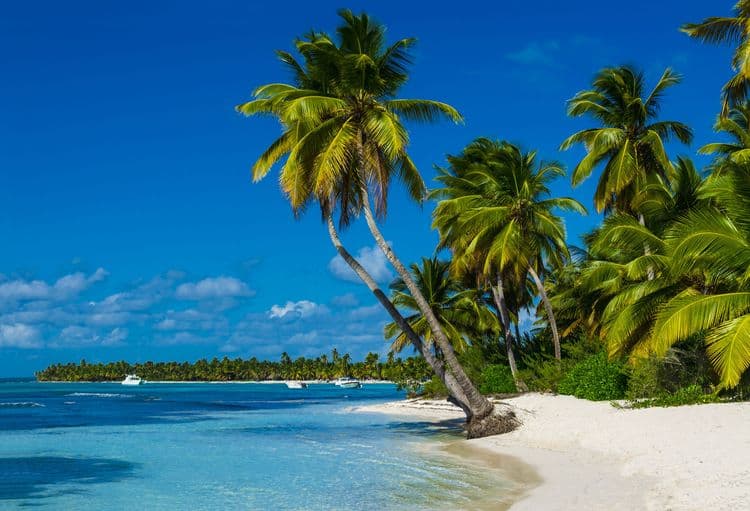 Antigua Beach Break