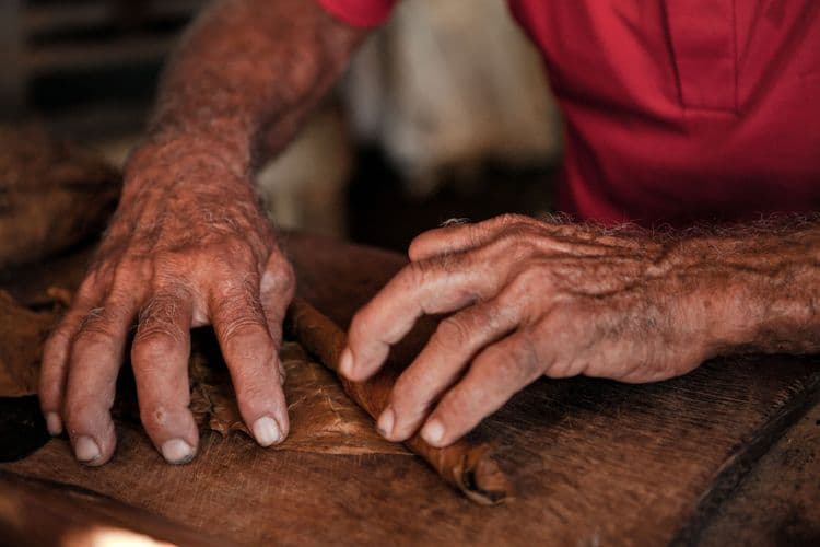 Chocolate, Rum and Rancho Don Fernando Tour