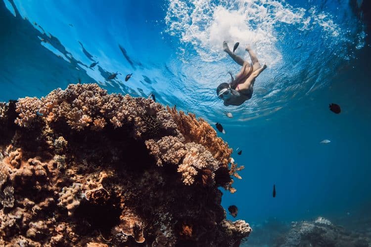 Snorkeling at Sosúa Bay