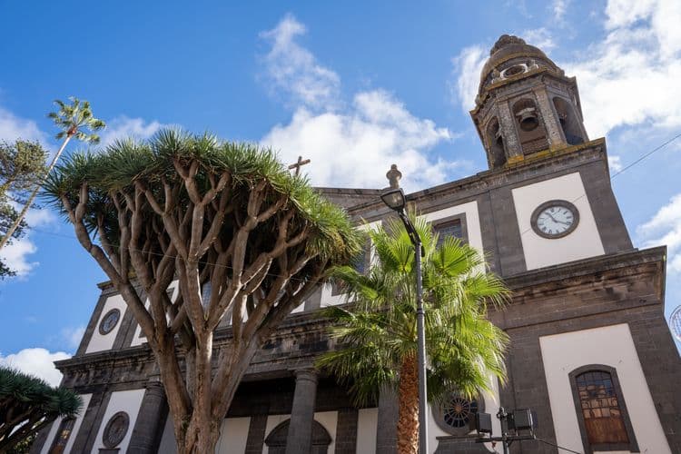 La Laguna and Vineyards