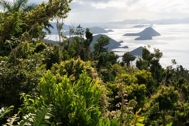 Escape to Jost Van Dyke