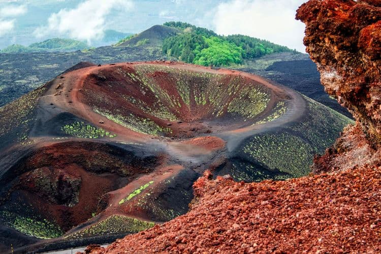 Discover Mt. Etna & the Vineyards of San Michele Estate