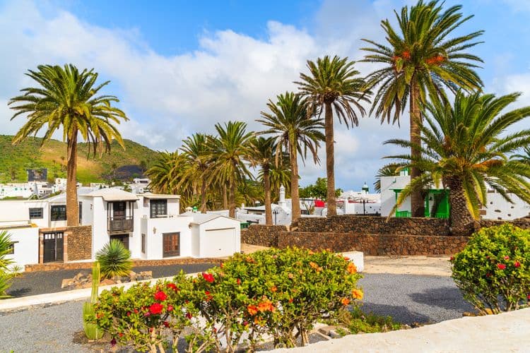 Northern Lanzarote & Aloe Vera Farm