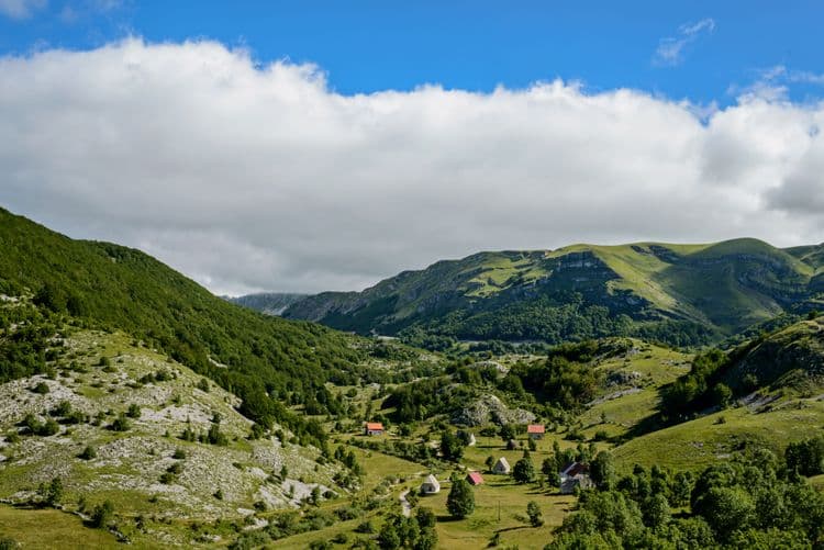 Kotor, St. Tryphon Cathedral, Njegusi & Cetinje